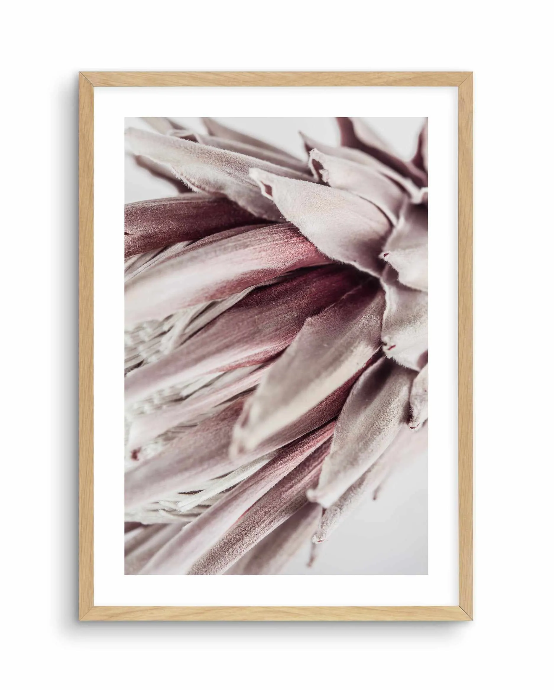 Abstract Protea II Art Print