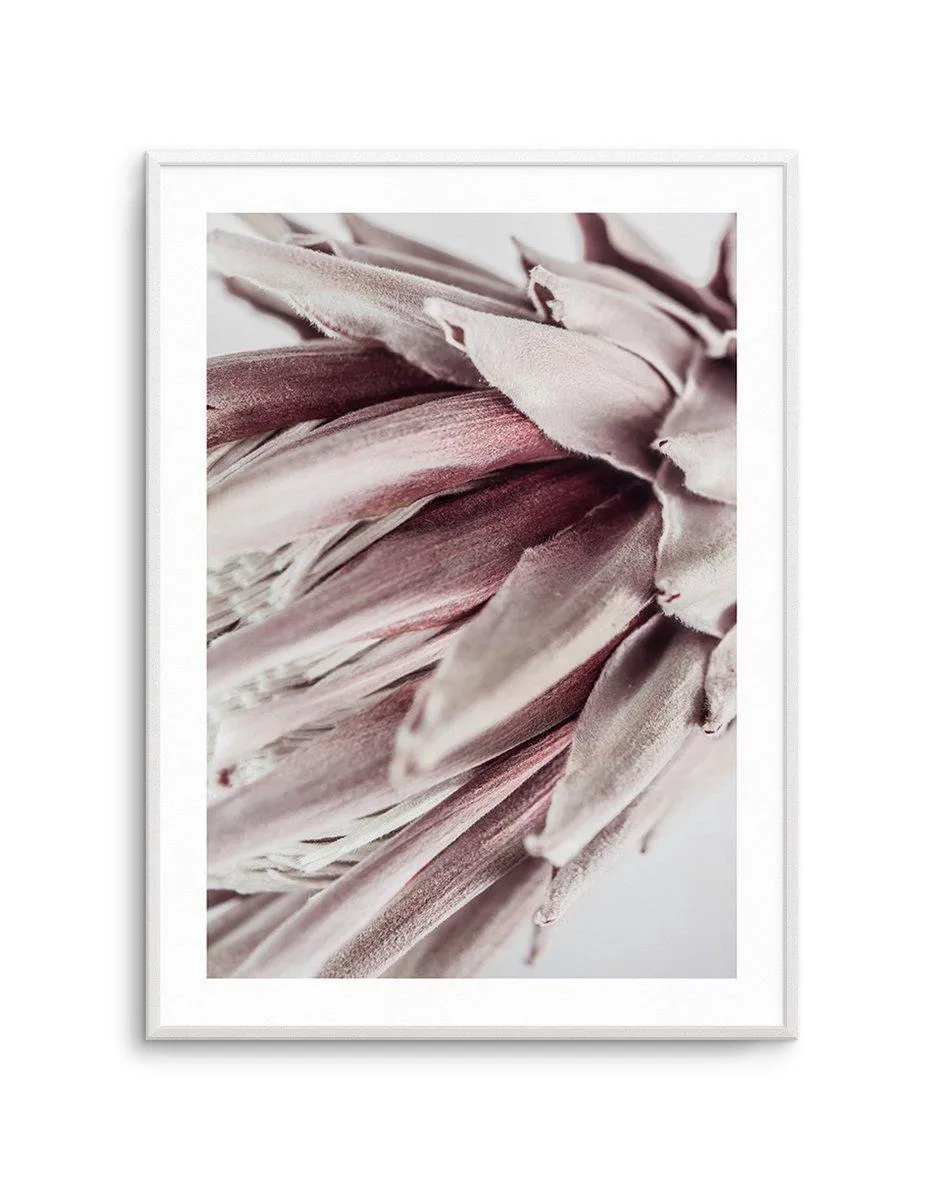 Abstract Protea II Art Print