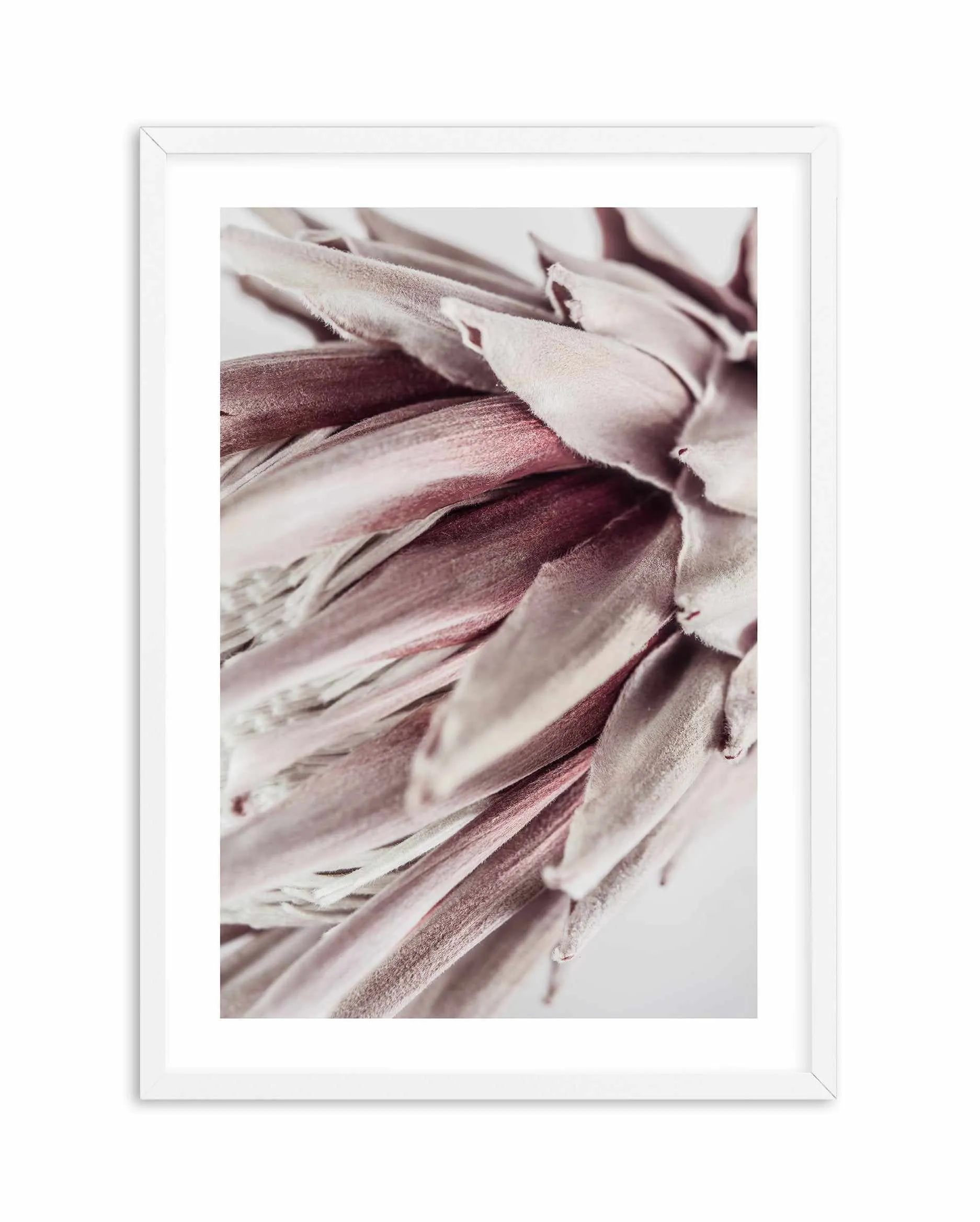 Abstract Protea II Art Print