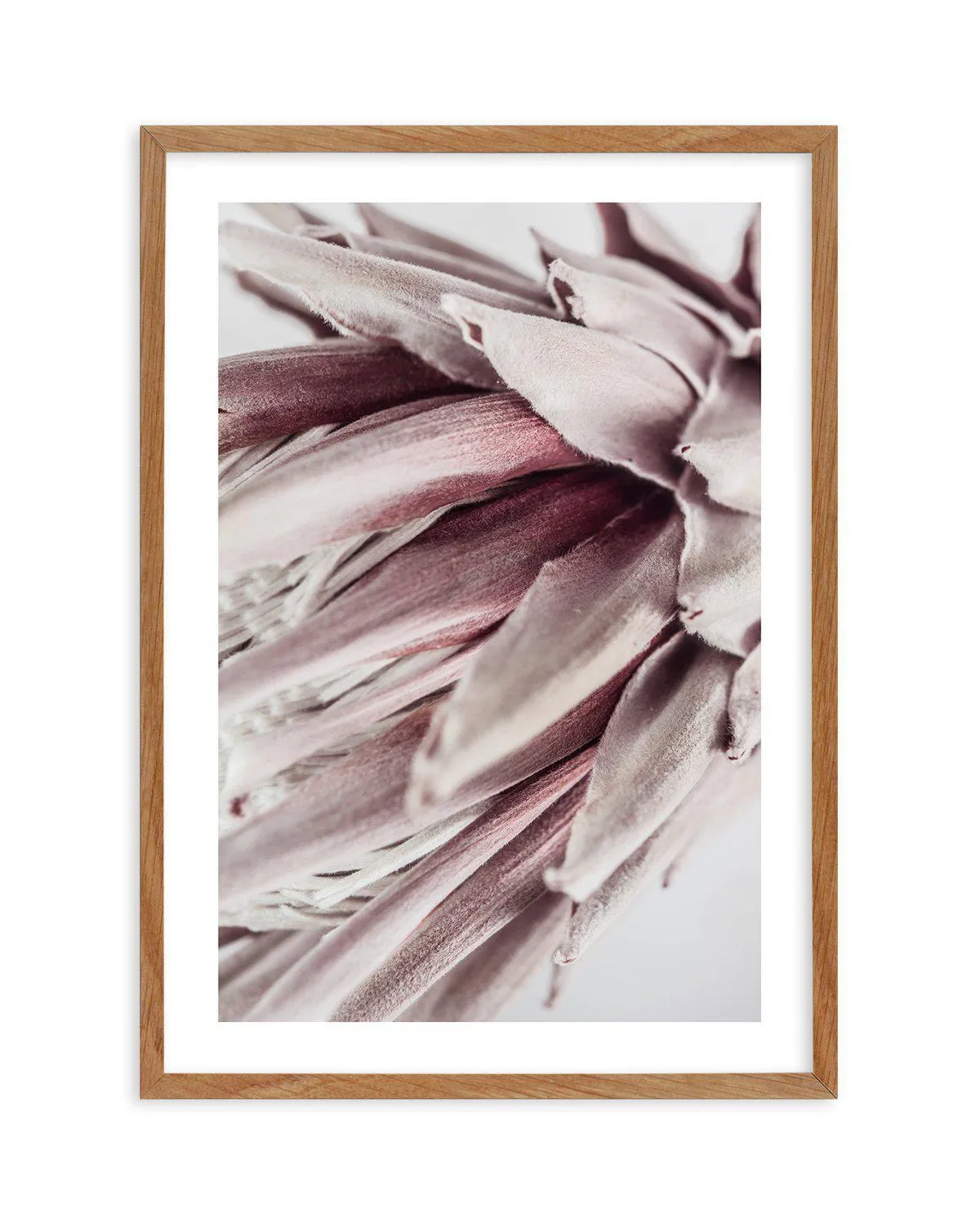 Abstract Protea II Art Print