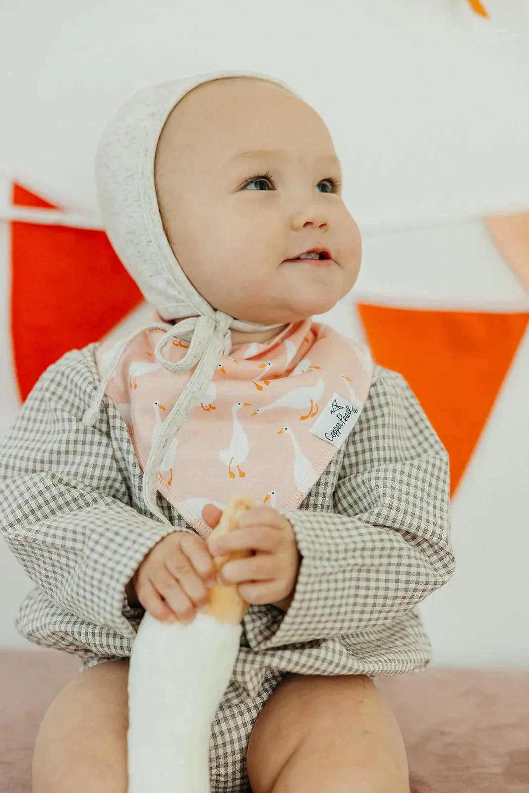 Baby Bandana Bibs - Goosie