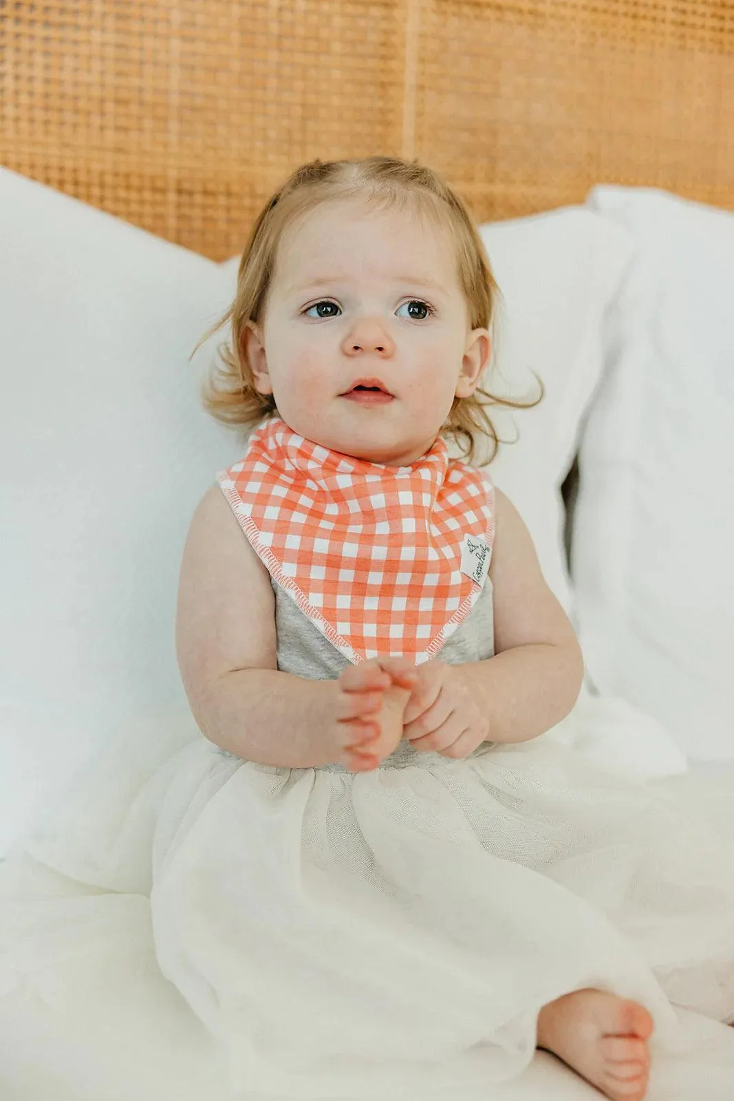 Baby Bandana Bibs - Goosie