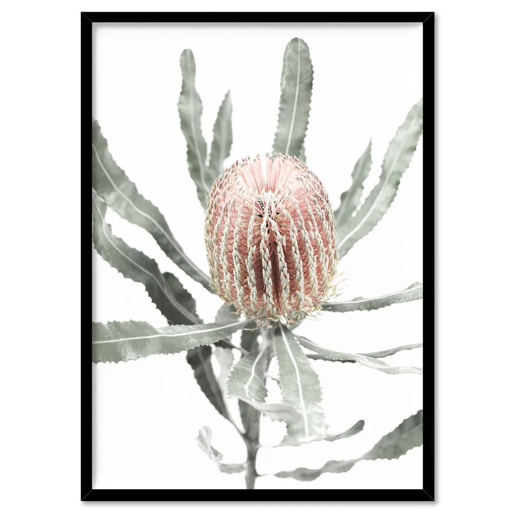 Banksia Pastels I - Art Print