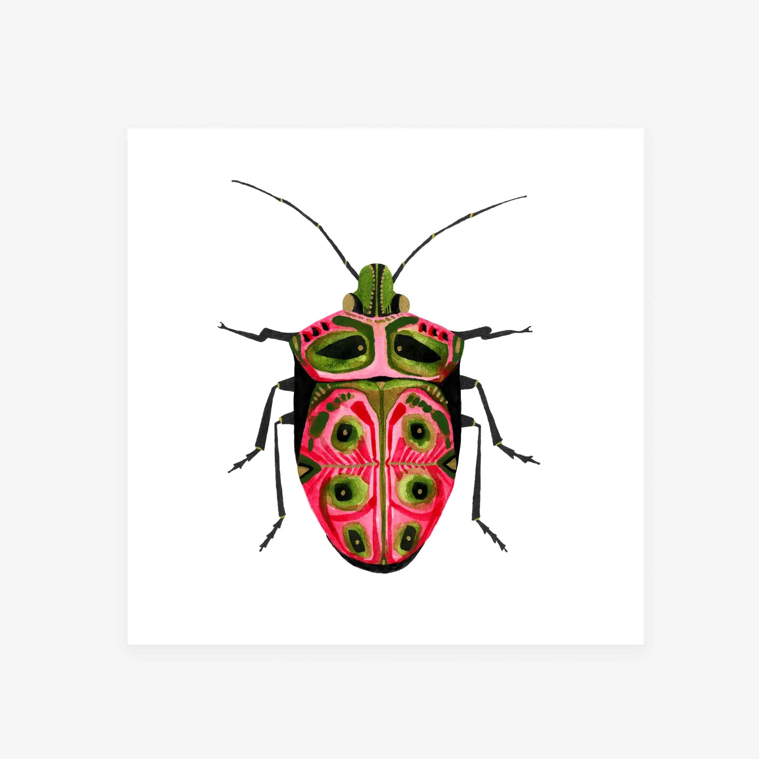 Beetle: Passion / Art Print