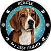 Best Friends Magnets Hound Dogs