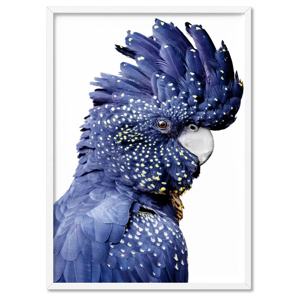 Black Cockatoo (blue tones) II - Art Print