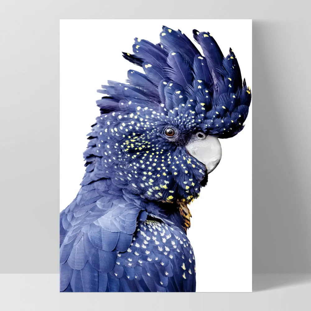 Black Cockatoo (blue tones) II - Art Print