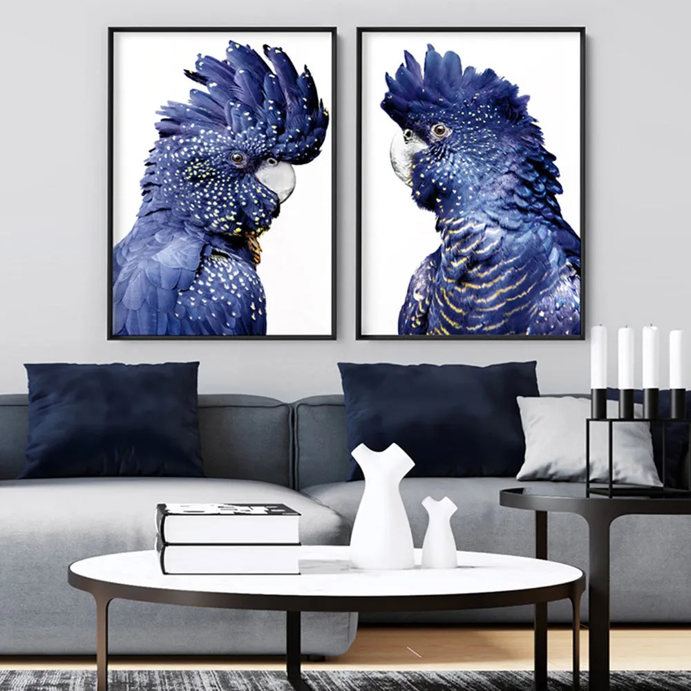 Black Cockatoo (blue tones) II - Art Print