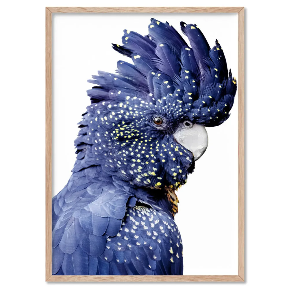 Black Cockatoo (blue tones) II - Art Print