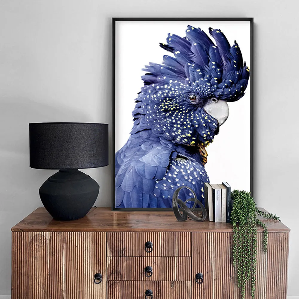 Black Cockatoo (blue tones) II - Art Print