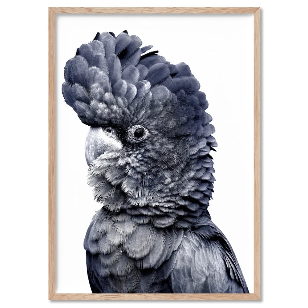 Black Cockatoo (Indigo & black) - Art Print