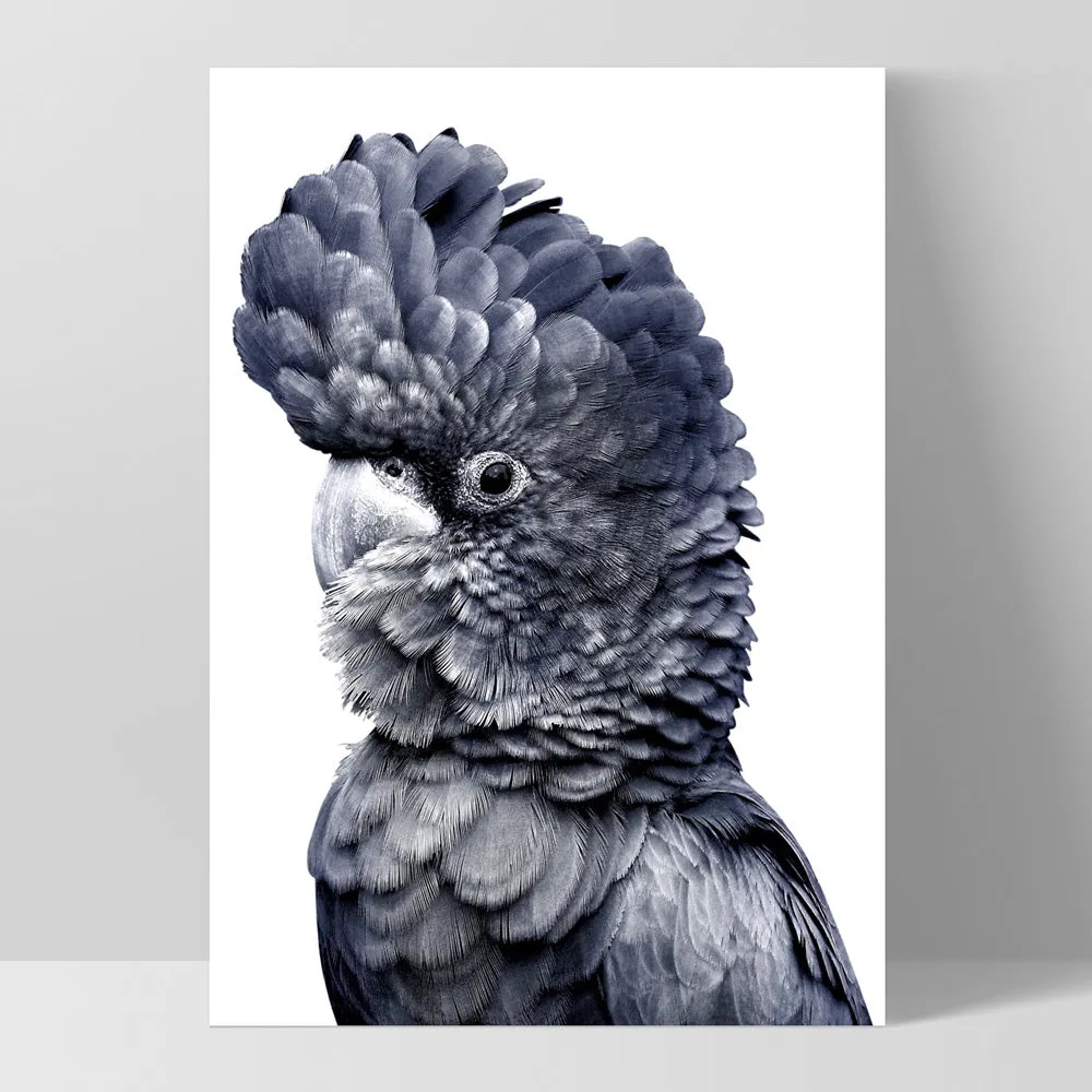 Black Cockatoo (Indigo & black) - Art Print