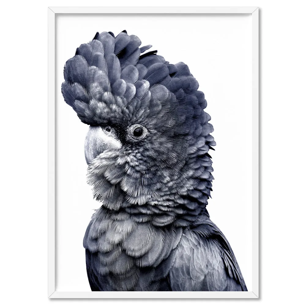 Black Cockatoo (Indigo & black) - Art Print