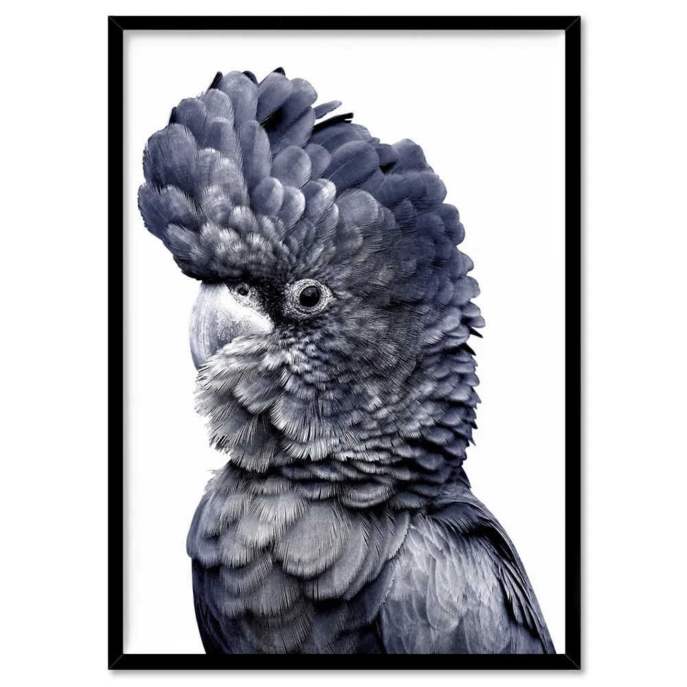 Black Cockatoo (Indigo & black) - Art Print