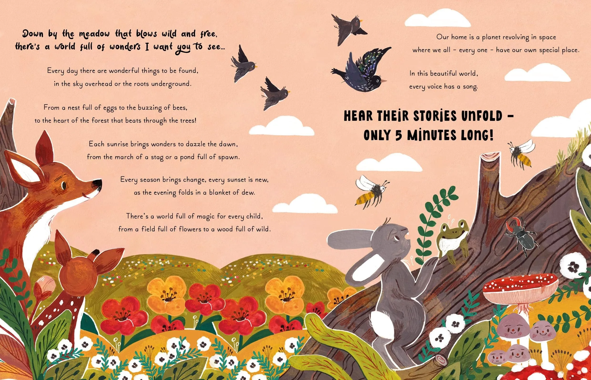 Book - 5 Minute Nature Stories (Magic Cat)