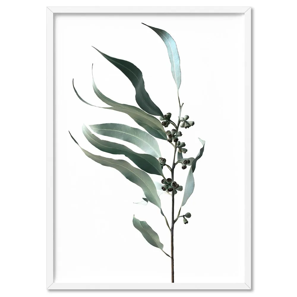 Dried Eucalyptus Leaves I - Art Print