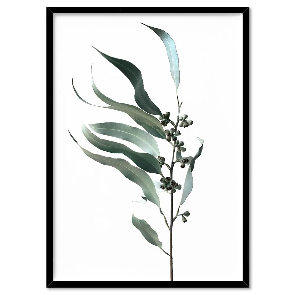 Dried Eucalyptus Leaves I - Art Print