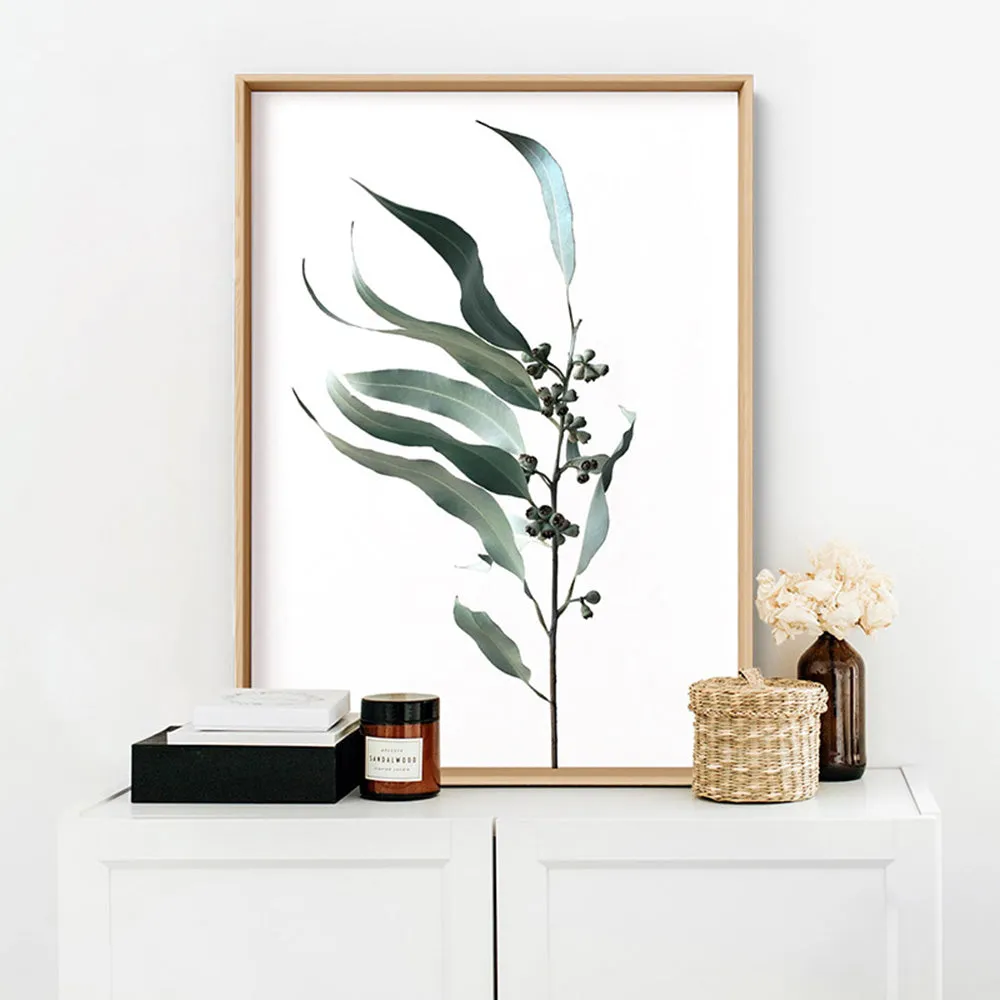 Dried Eucalyptus Leaves I - Art Print