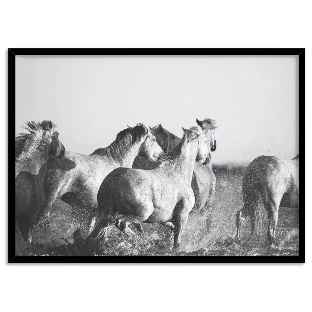 Horses in the Sea in B&W - Art Print