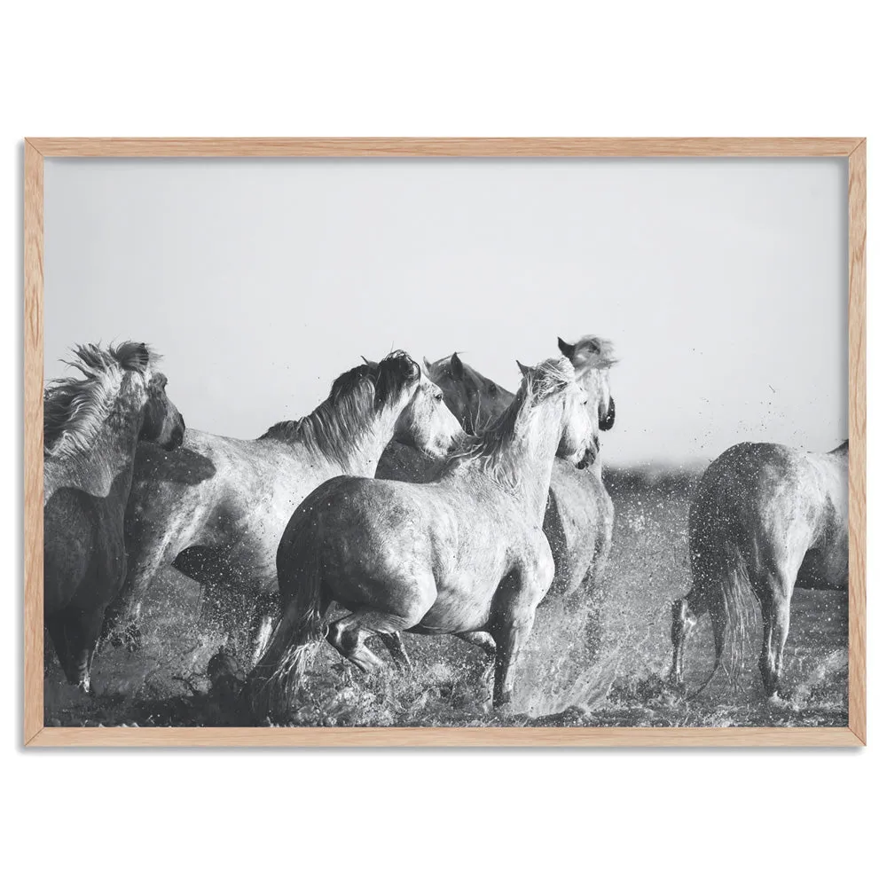 Horses in the Sea in B&W - Art Print