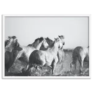 Horses in the Sea in B&W - Art Print