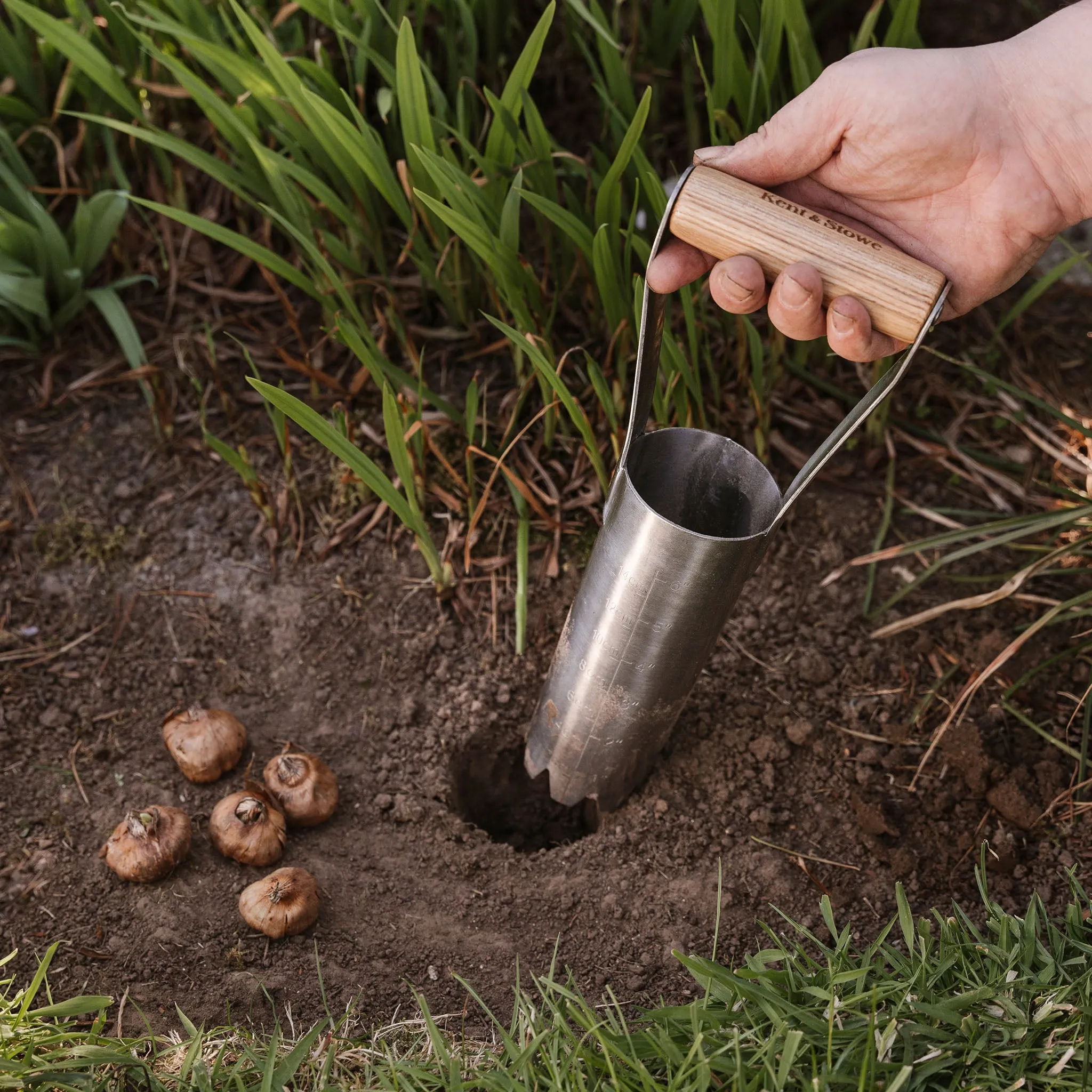 Kent & Stowe Stainless Steel Large Hand Bulb Planter