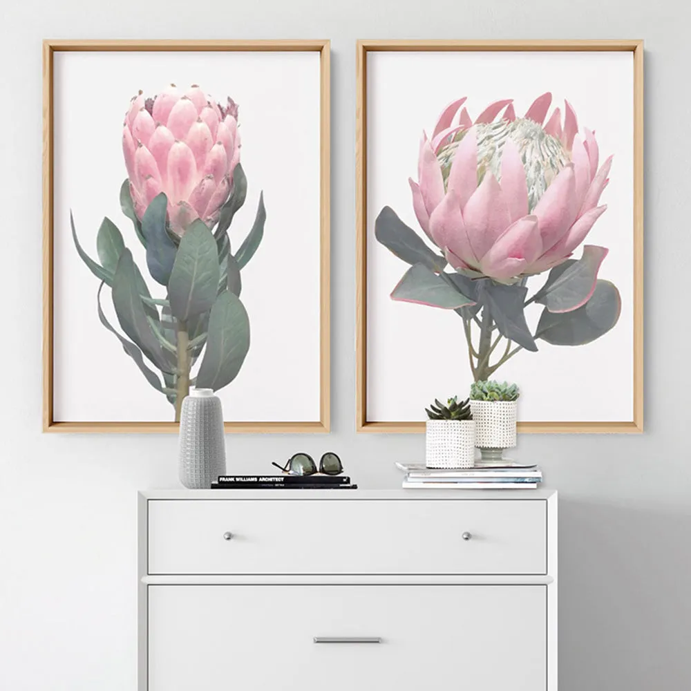 King Protea Vintage Portrait - Art Print