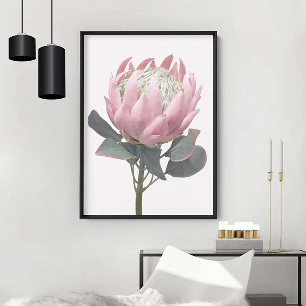 King Protea Vintage Portrait - Art Print