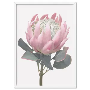 King Protea Vintage Portrait - Art Print