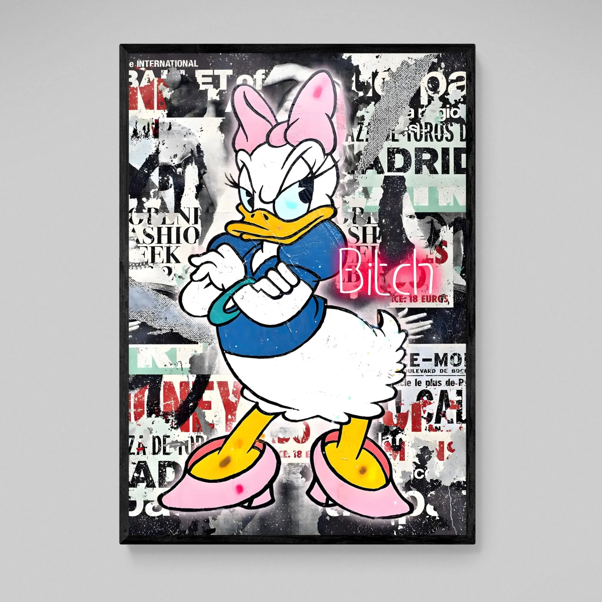 Lady Duck Graffiti Wall Art