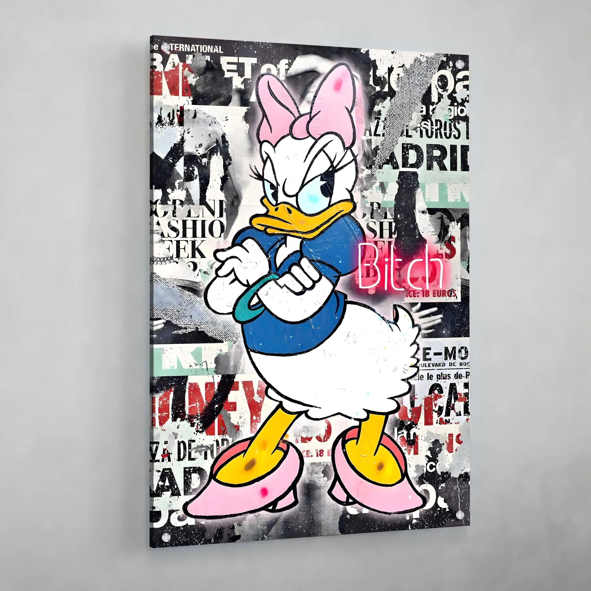 Lady Duck Graffiti Wall Art