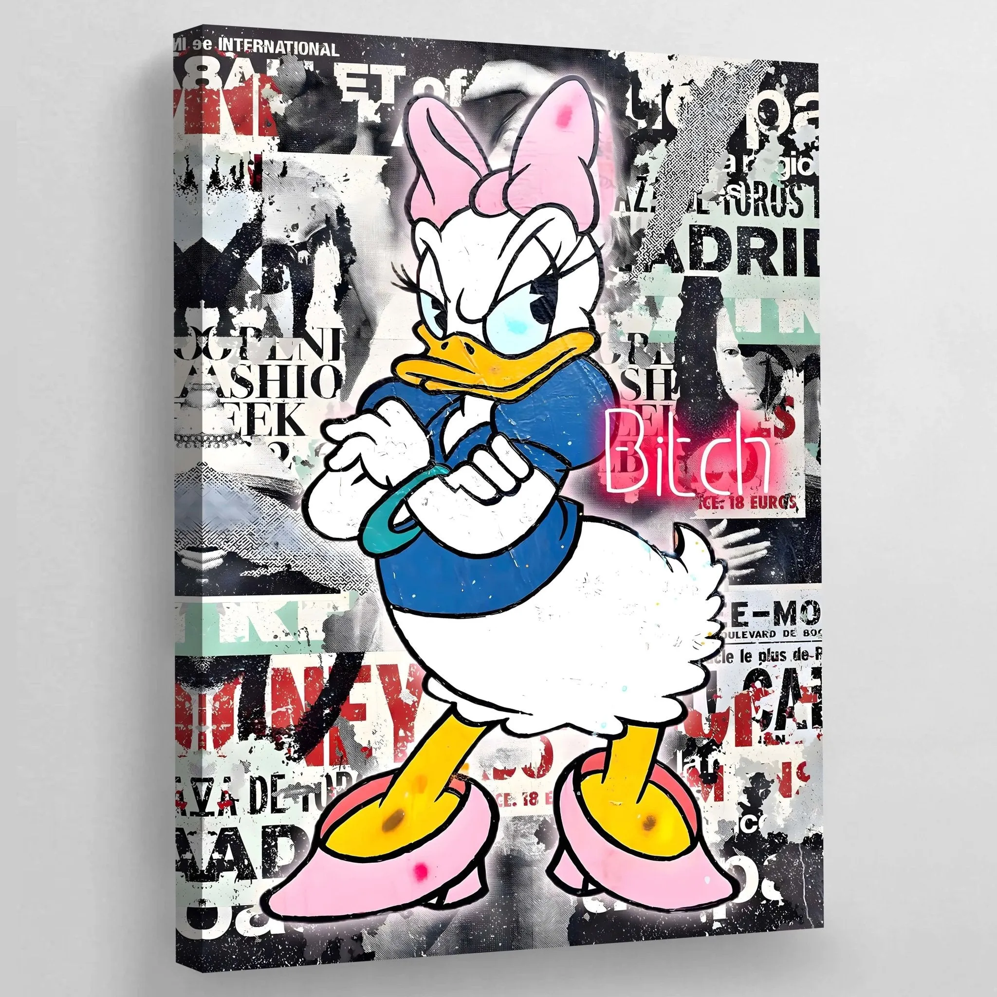 Lady Duck Graffiti Wall Art