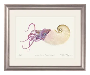 Paper Nautilus Print