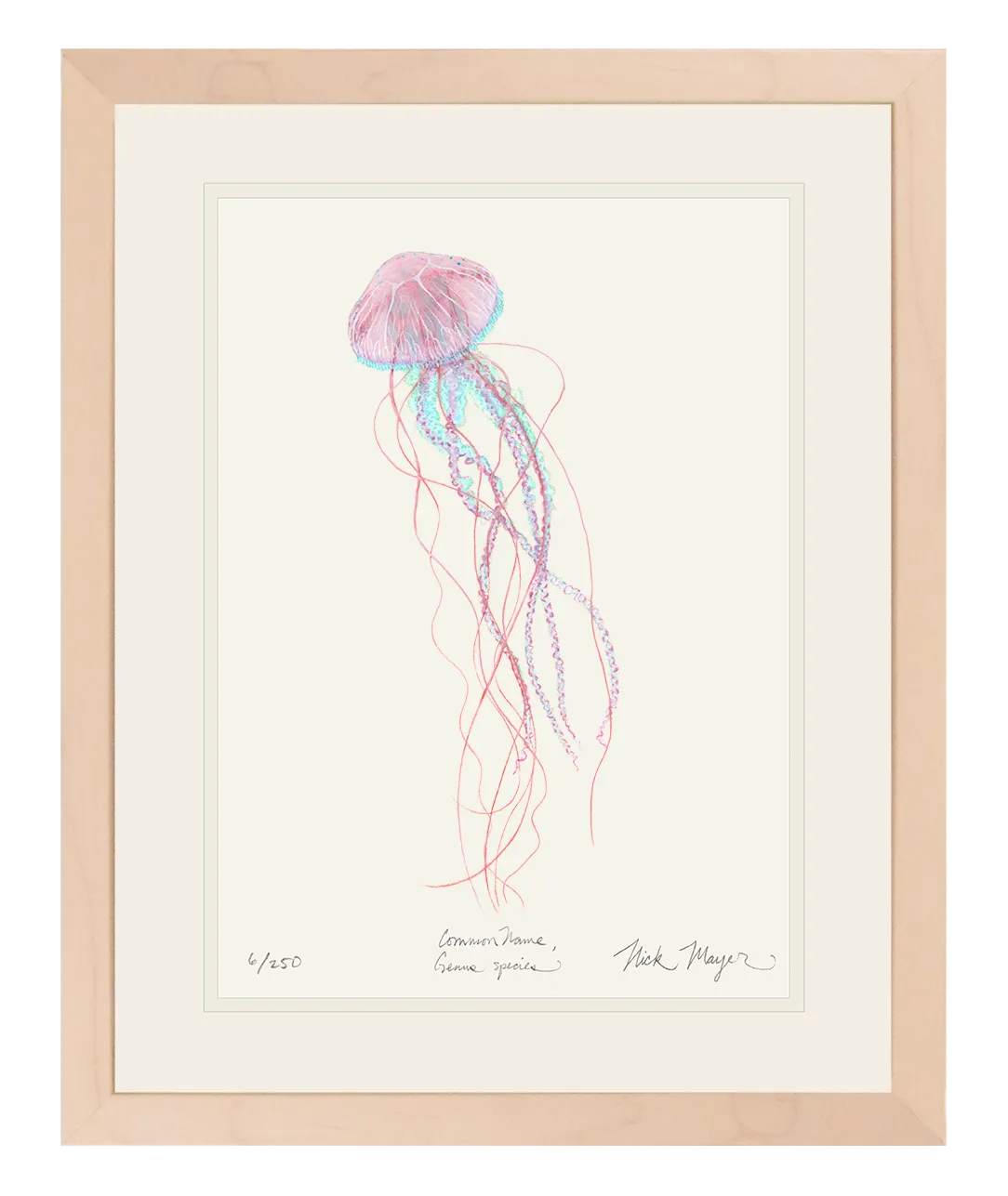 Pink Jellyfish Print