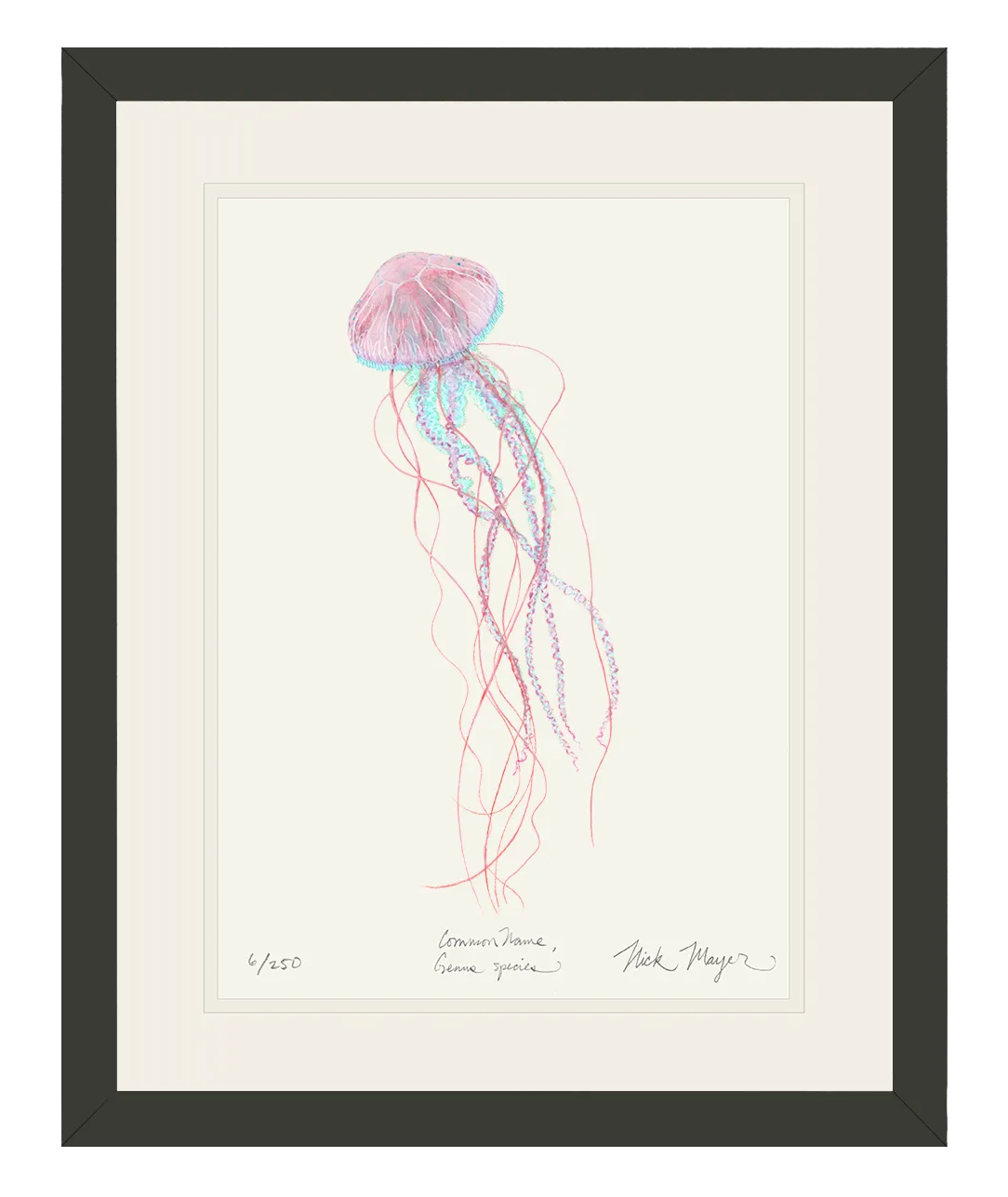 Pink Jellyfish Print