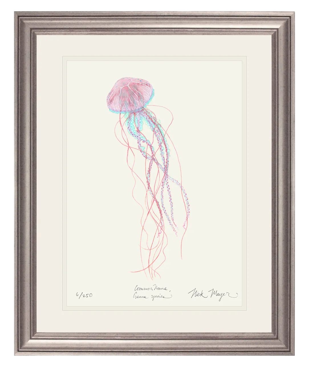 Pink Jellyfish Print