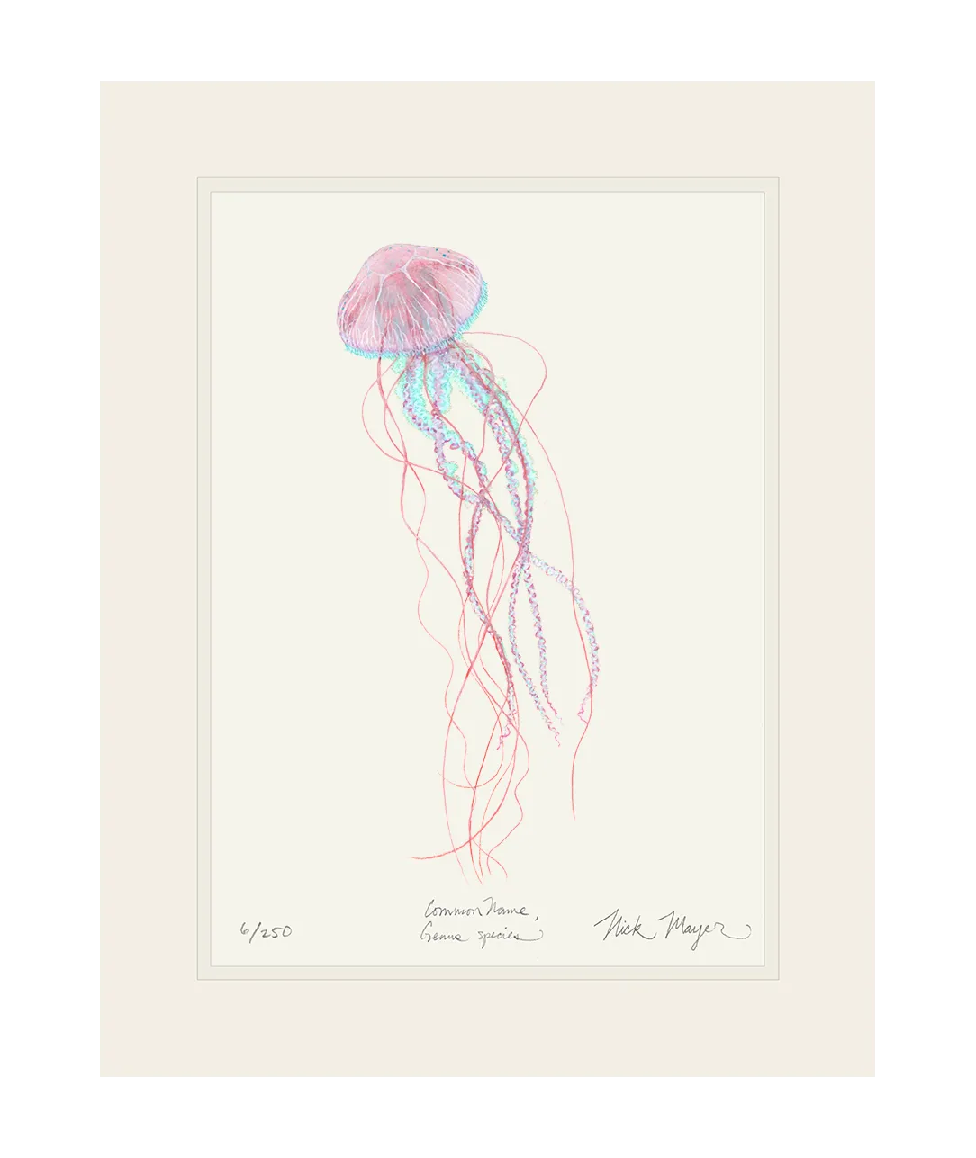 Pink Jellyfish Print