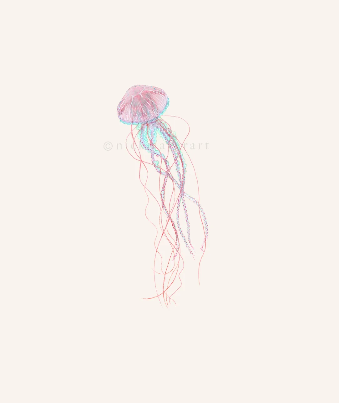 Pink Jellyfish Print