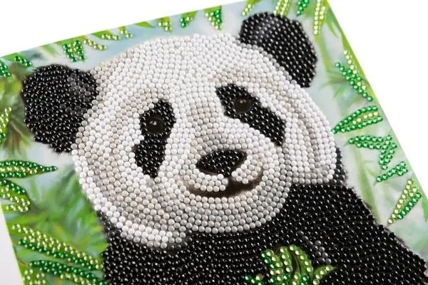 "Baby Panda" Crystal Art Card 18x18cm