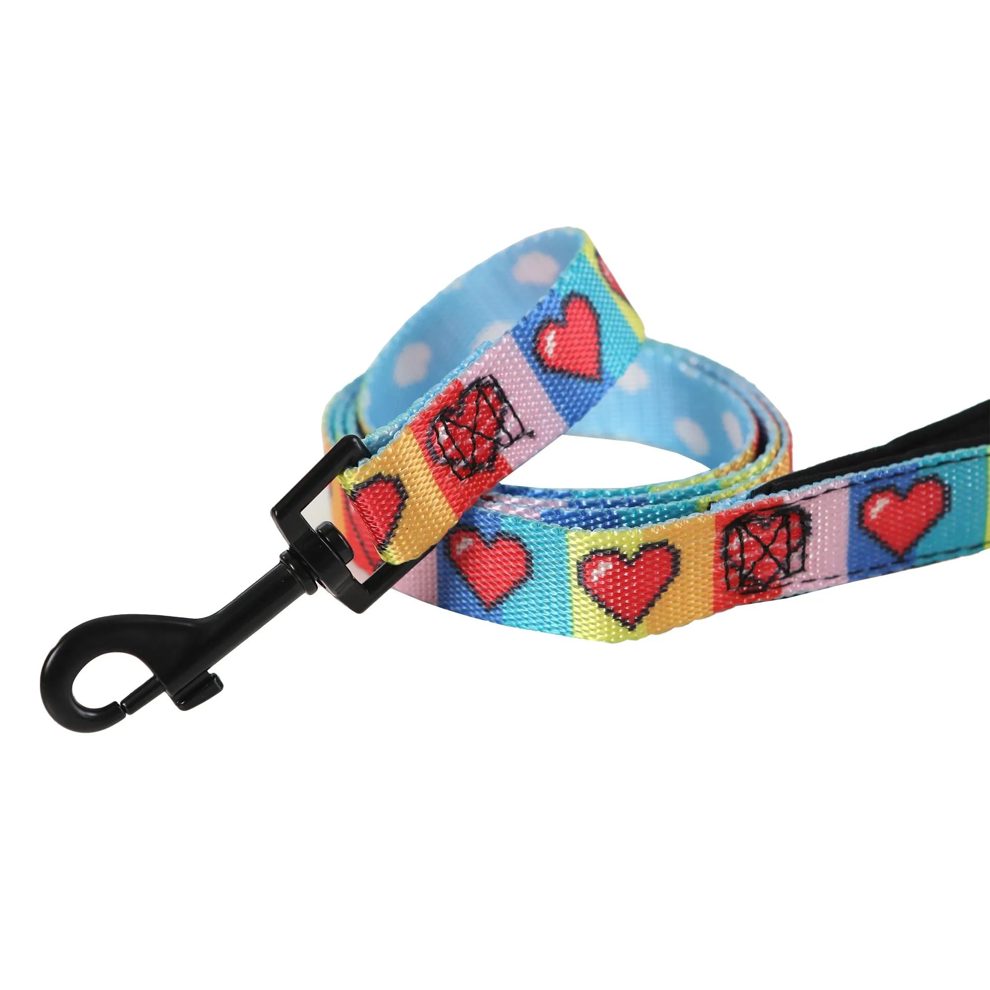 Rainbow Doggie Premium Dog Leash | Paws of Pride Collection | Toy Doggie Brand