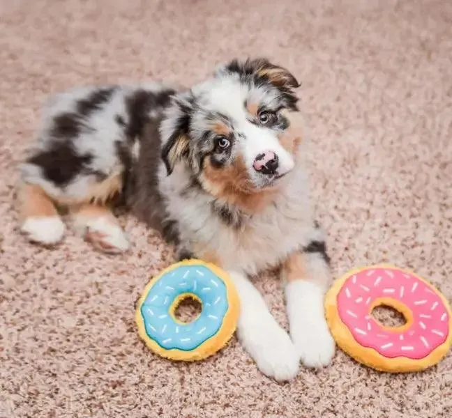 Small Donutz Dog Toy