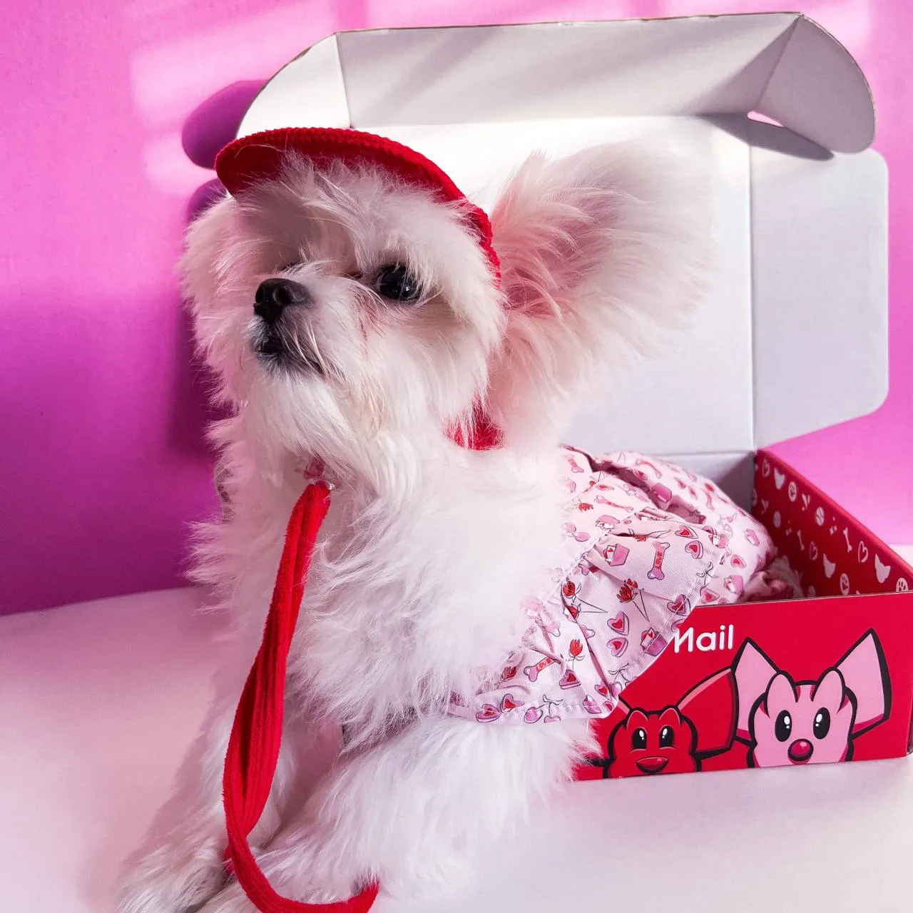 Sweet Heart Pet Jumpsuit | Pet Apparel | Toy Doggie Brand