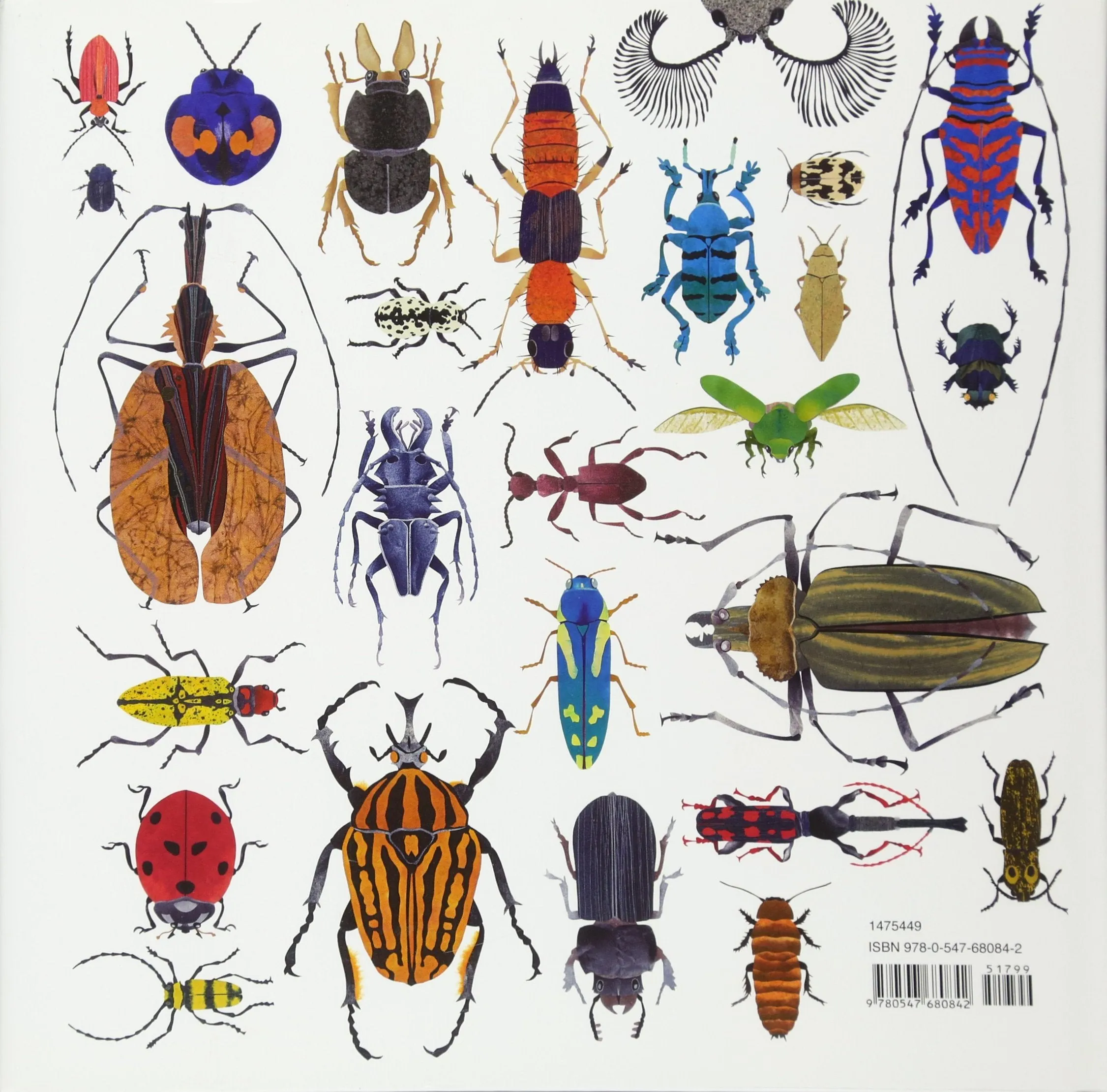 The Beetle Book